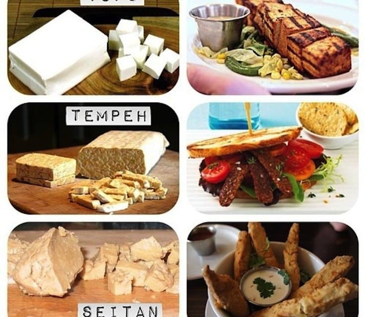 tofu, tempeh, seitan